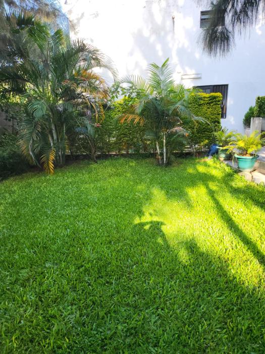 Serene Garden Studio with private backyard Kiambu Rd