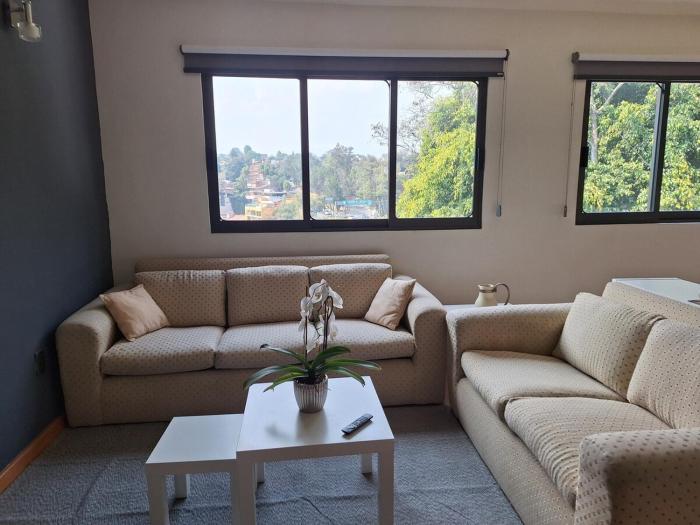 Bright & Peaceful Apt w Tree View, Lomas