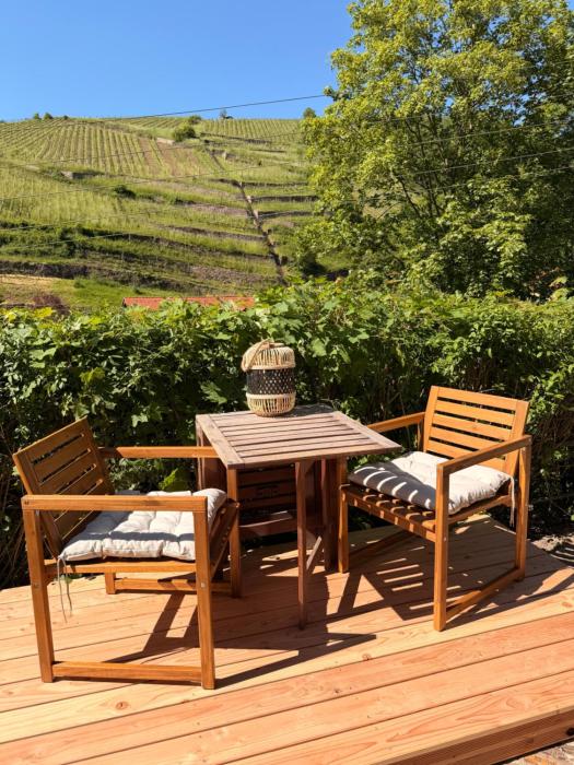 Ferienwohnung mit Weinbergblick