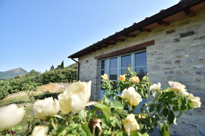 Agriturismo Borgo Pieve Petroia