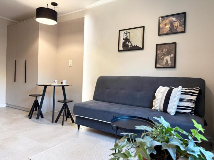 Apartament Kopalniok II