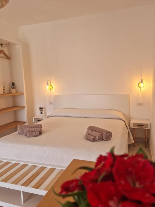 DADA Rooms