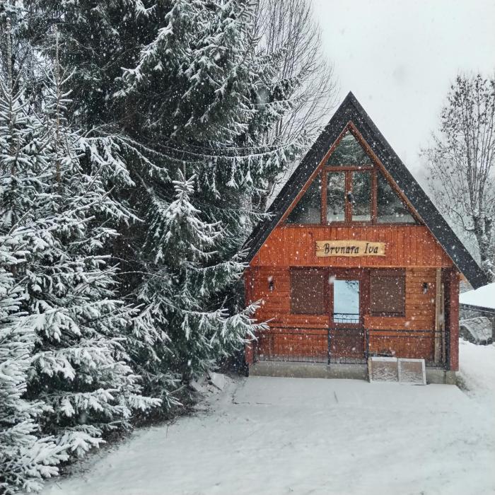 Brvnara Iva Kolašin Crna Gora
