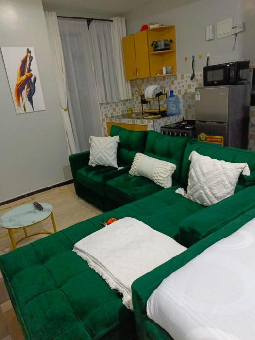 Modern and spacious studio with parking Mirema