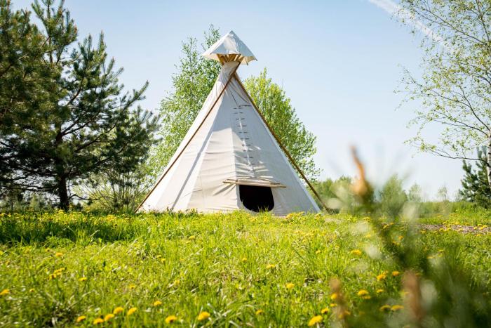 Briedžio sapnas - tipis saulė