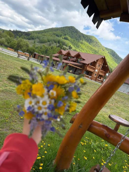 Chalet in Muntii Vrancei
