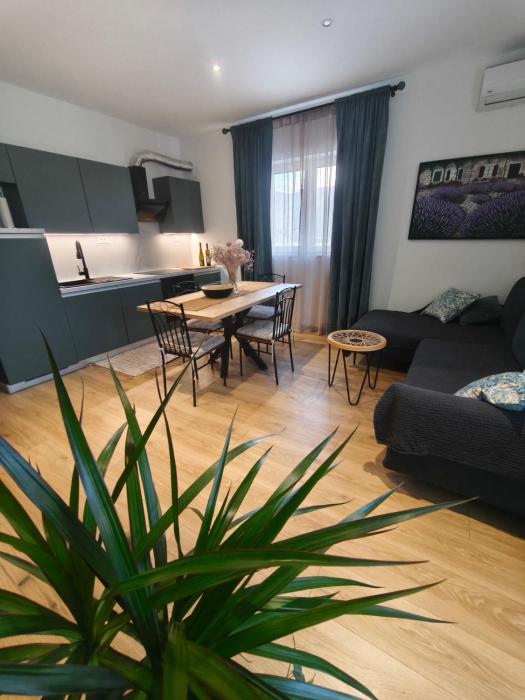 Olive Tree Apartment