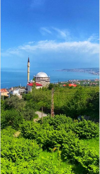 Denizin ve doğanın birleştiği yerde mükemmel bir tatil için mükemmel bir villa 9 yataklı- 4 yatak odalı-3 banyolu-4 klimalı