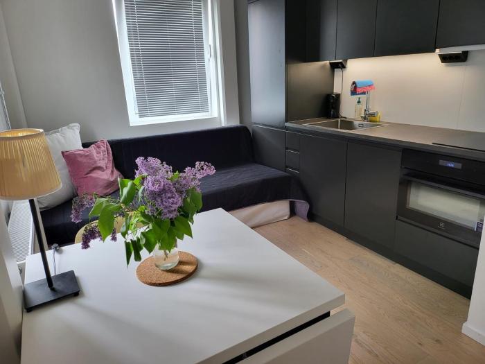 Studio Sleeps 2 Sollentuna centre