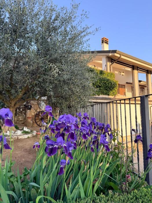 Il Rifugio dorato guest house