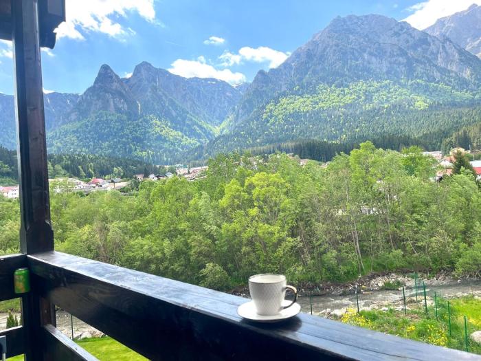 Mountain Stream Serenity - Riverfront & View