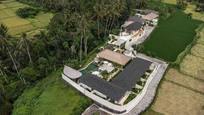 15BR Blue Parrot Arara Layang by BaliSuperHost