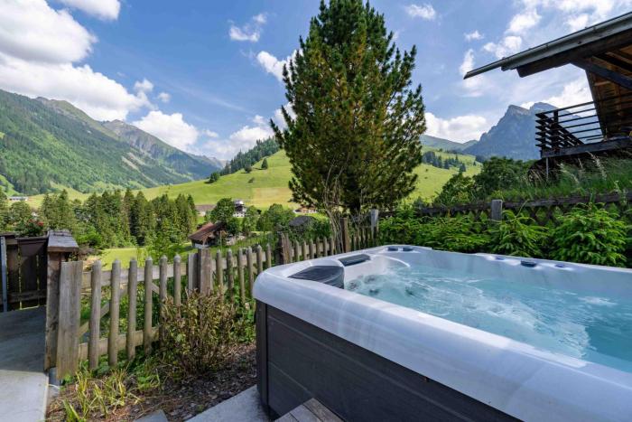 Hot Tub Chalet with BBQ netx to Gondola Nature and near Spiez