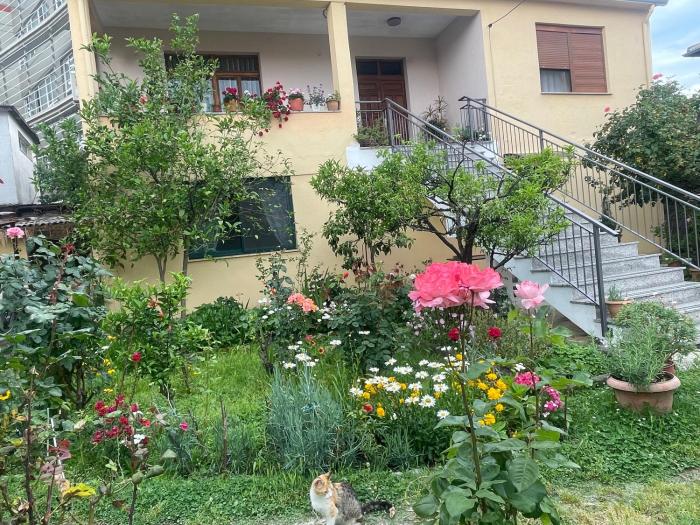 Hysa Guest House