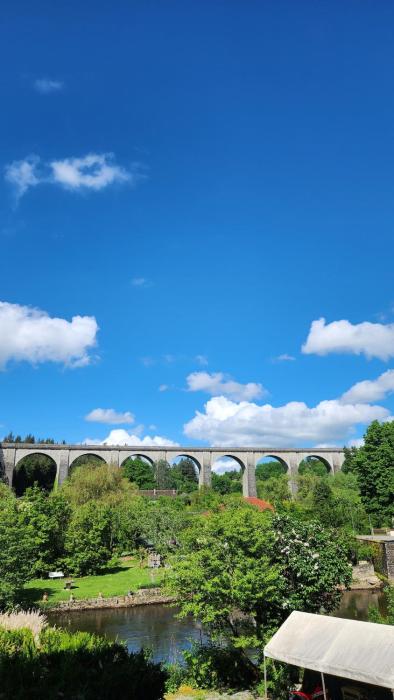 Un Moment Suspendu sur la Vienne