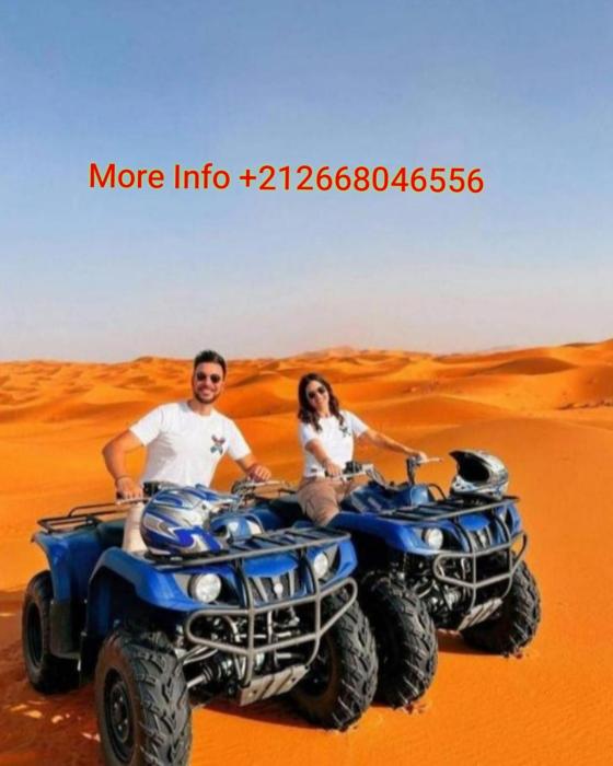 Authentic Desert Luxury Camp