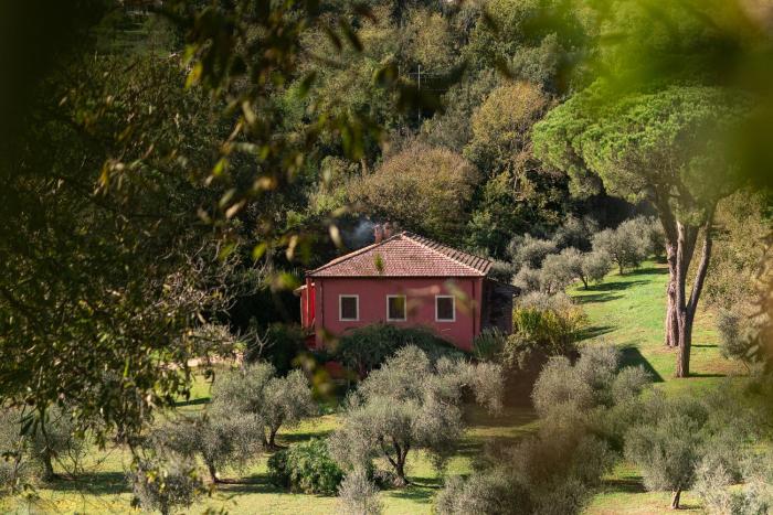 Villa Flavia