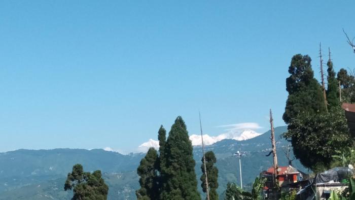 Mist N Mountain