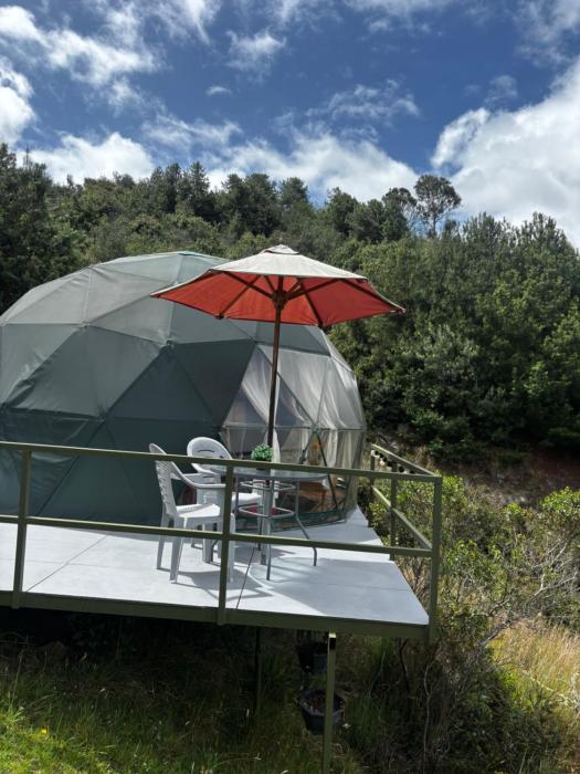 Glamping Cacica del bosque
