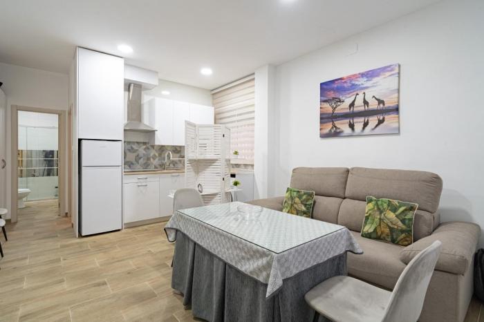 Apartamento para turismo en granada 2