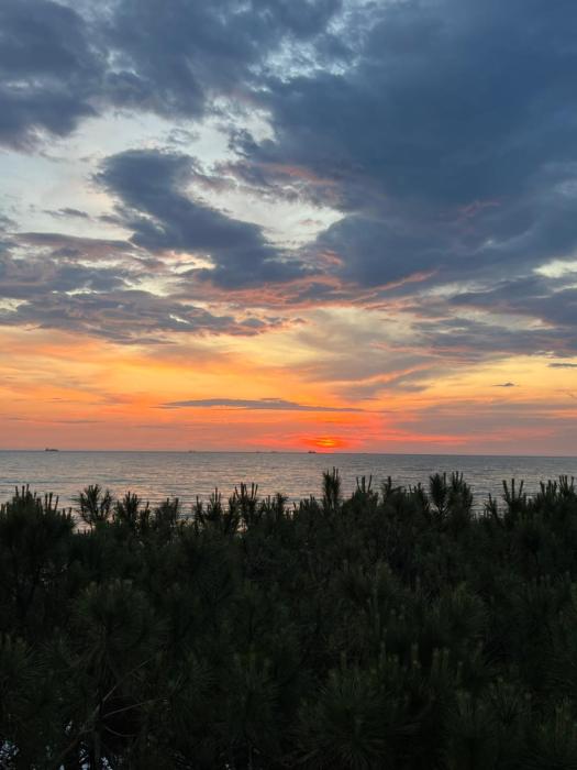 Sunset Pine Apartments