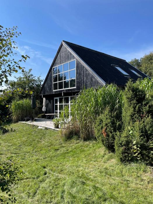 Lovely Beach Home Enveloped In Green Surroundings