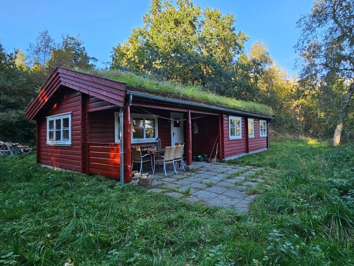 Charming Norwegian Log Cabin With Grass Roof