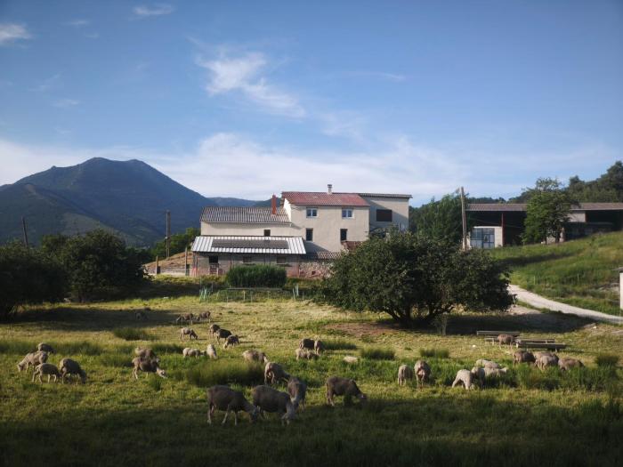 Gîte des Millets en Baronnies