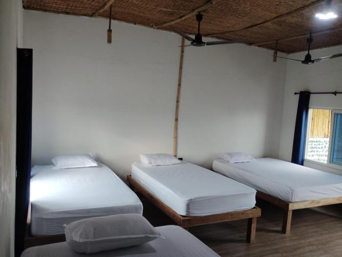 Dormitory park hostel