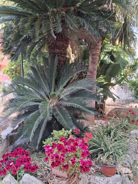 La Rugiada-con giardino e parcheggio moto privato