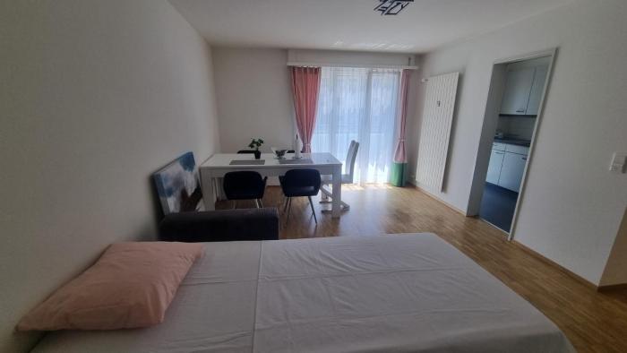 City apartment Lucerne