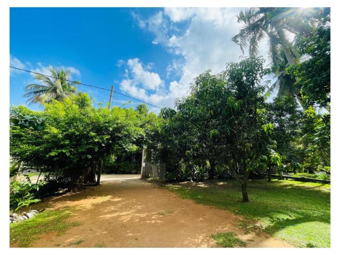 White Lotus Holiday Resort