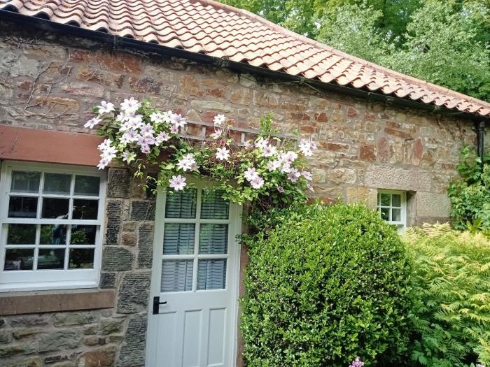 Studio cottage in pretty East Lothian village