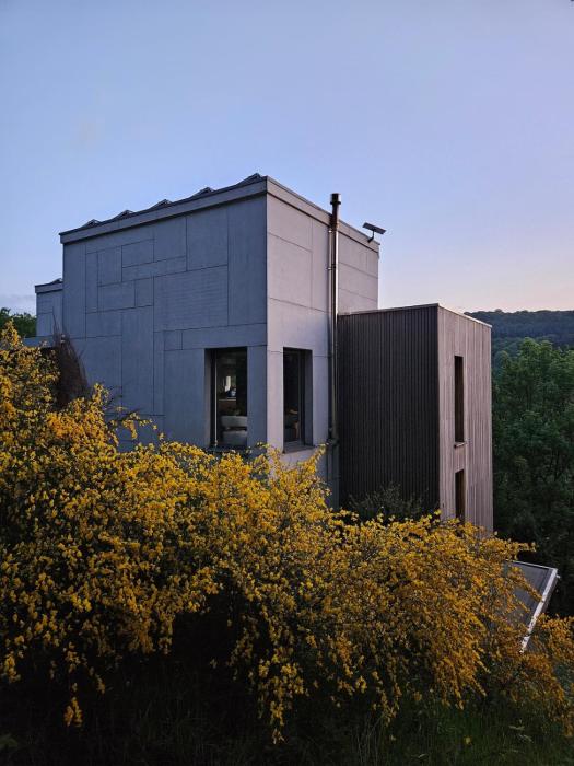 Modern Spacious Forest Home