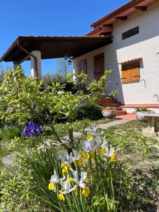 Casa Grazia