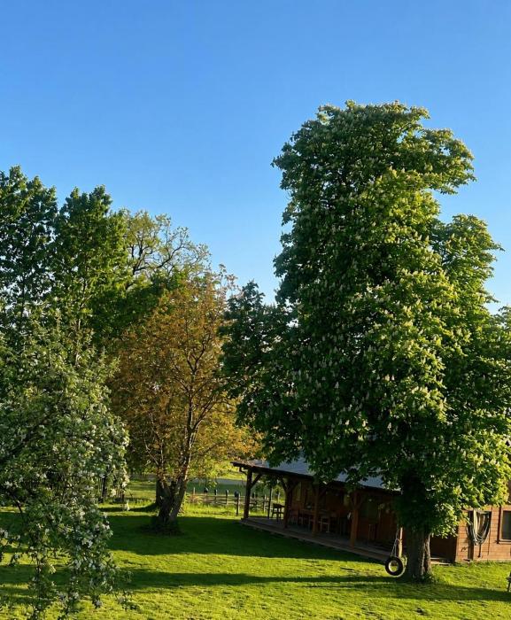 Poleskie zacisze, domek Bocian, kominek, balia,sauna,wifi