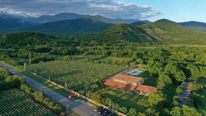 Chubini Winery & Cabins