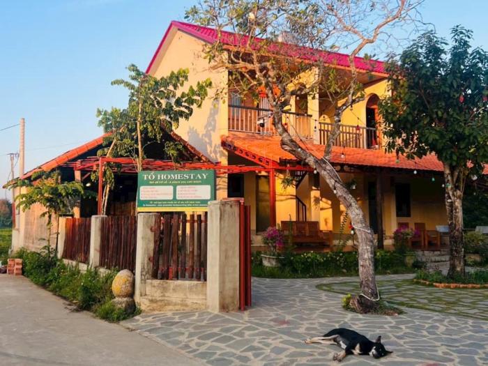Tổ Homestay