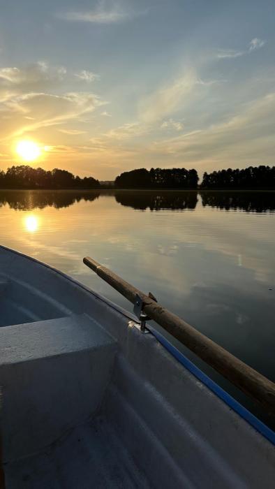 Słonecznikowe gniazdko