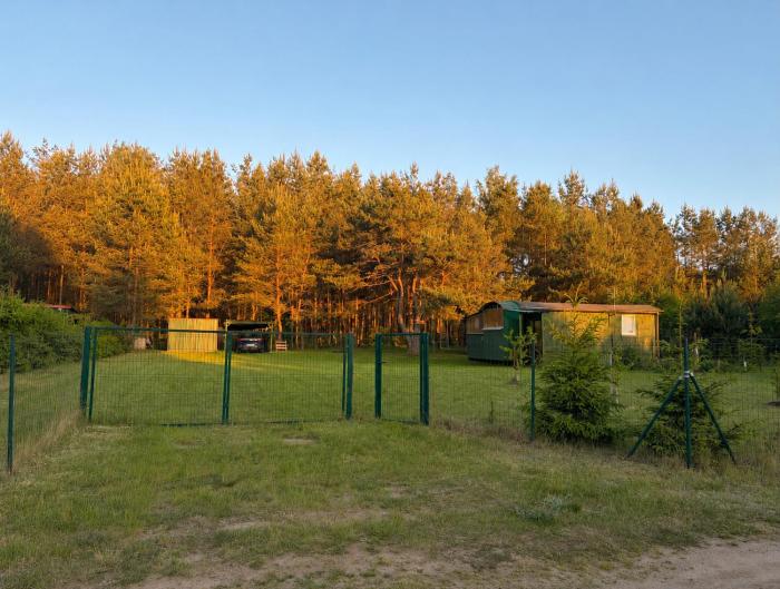 Leśny Wóz Drzymały na terenie 1500 m na wyłączność!