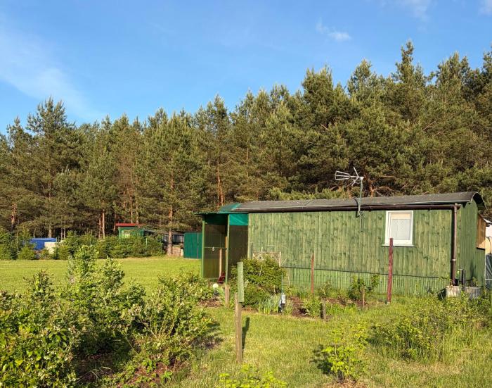Leśny Wóz Drzymały Spore - 1500 m2 na wyłączność!