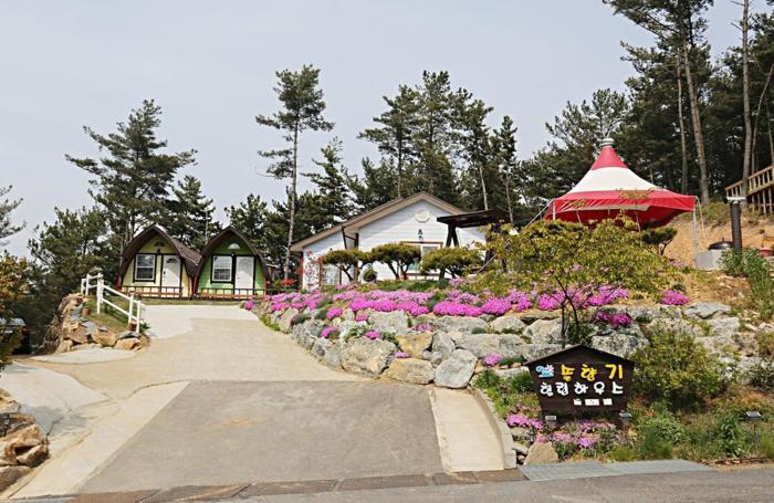 solhyanggihilringhauseu