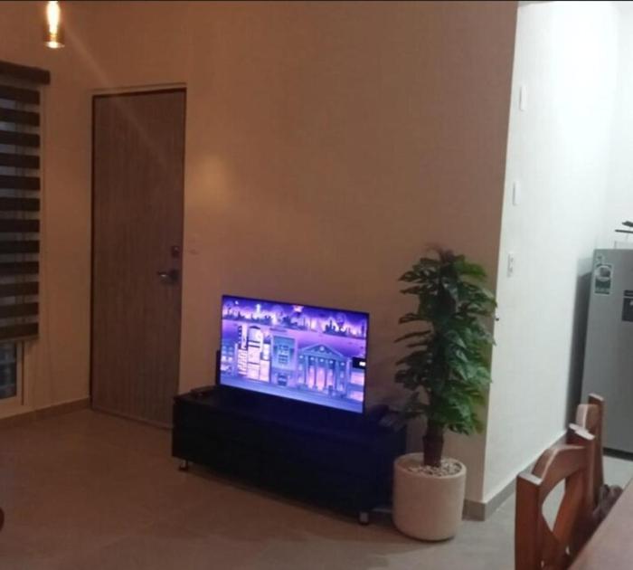 A beautiful apartment