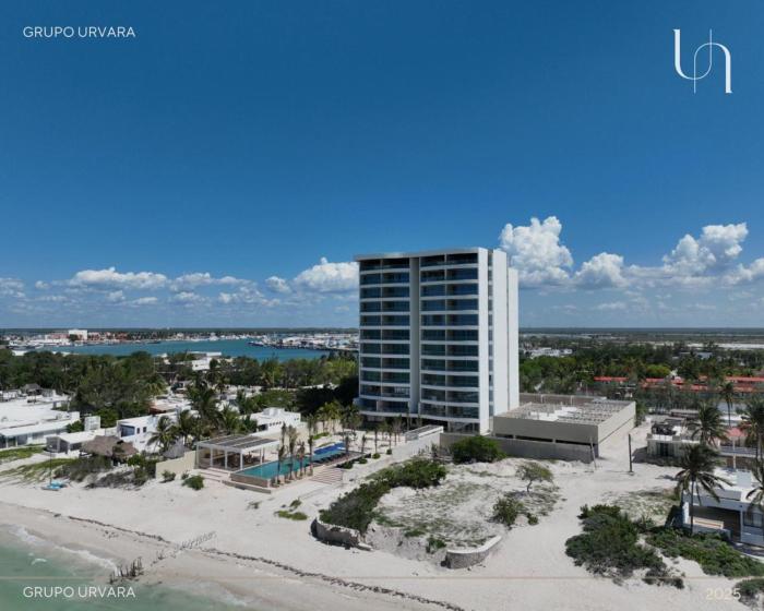 Royalty Condo - Chelem Yucatan