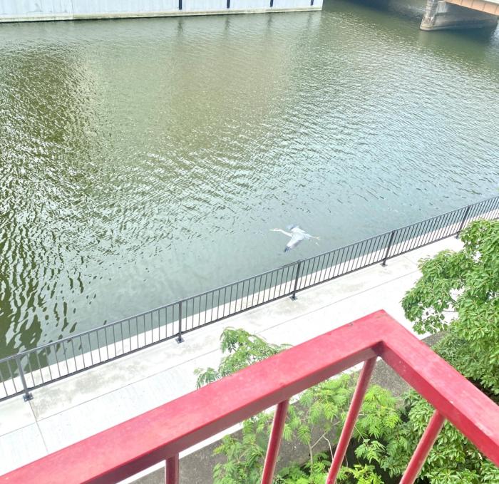 Arita Heights Namba 310 - Vacation STAY 58177v
