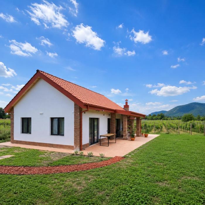 Villa Lazarina