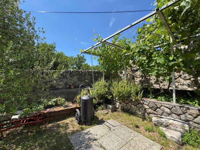 Apartment Prelec