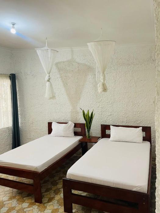 Safari Junction Backpackers hostel