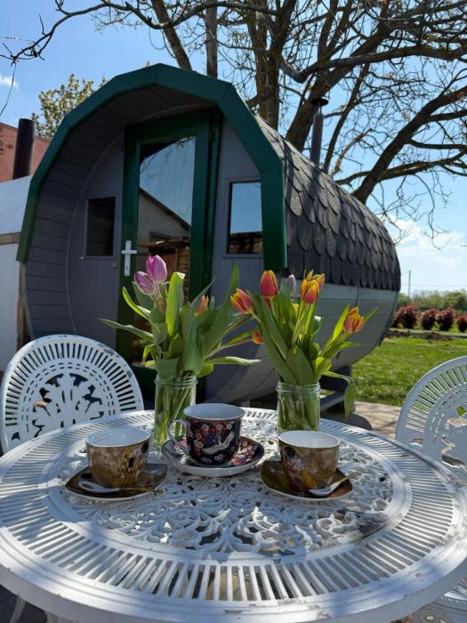 Vitez Guesthouse Siofok - detached house with yard and Sauna