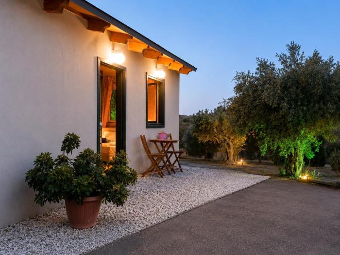 Olive Grove